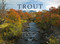 Trout - 9780847871377 by Tom Rosenbauer, Brian Grossenbacher, Callan Wink, 9780847871377