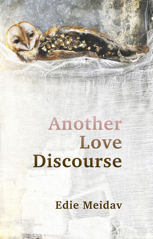 Another Love Discourse by Edie Meidav, 9781949597202
