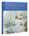 Beatrix Potter (Drawn to Nature) by Annemarie Bilclough, Richard Fortey, Sarah Glenn, Emma Laws, Liz Hunter MacFarlane, 9780847871438