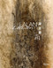 Lalan by Véronique Bergen, Catherine Kwai, Zhao Jialing, Jean-Michel Beurdeley, Raphaël Dupouy, 9788891833020