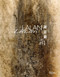 Lalan by Véronique Bergen, Catherine Kwai, Zhao Jialing, Jean-Michel Beurdeley, Raphaël Dupouy, 9788891833020