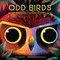 Odd Birds (Meet Nature's Weirdest Flock) by Laura Gehl, Gareth Lucas, 9781419742231