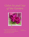 Color In and Out of the Garden (Watercolor Practices for Painters, Gardeners, and Nature Lovers) by Lorene Edwards Forkner, 9781419758768