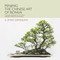 Penjing: The Chinese Art of Bonsai (A Pictorial Exploration of Its History, Aesthetics, Styles and Preservation) by Rob Kempinski, Xuenian Han, Qingquan Zhao, Le Huang, 9781602200098
