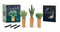Succulents Magnet Set by Jessie Oleson Moore, 9780762479160