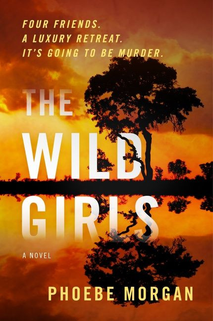 The Wild Girls (A Novel) by Phoebe Morgan, 9780063144835