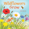 Wildflowers Grow by Amber Hendricks, Gavin Scott, 9781681527062