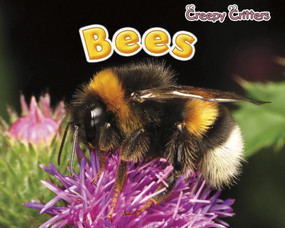 Bees - 9781410948151 by Rebecca Rissman, 9781410948151