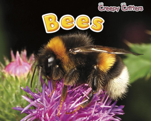 Bees - 9781410948151 by Rebecca Rissman, 9781410948151