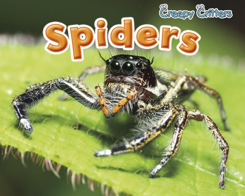 Spiders - 9781410948236 by Sian Smith, 9781410948236