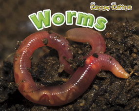 Worms - 9781410948250 by Sian Smith, 9781410948250