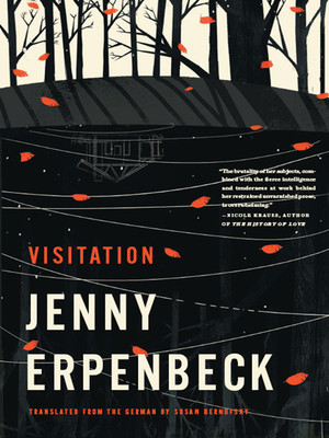 Visitation by Jenny Erpenbeck, Susan Bernofsky, 9780811218351