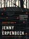 Visitation by Jenny Erpenbeck, Susan Bernofsky, 9780811218351