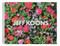 Jeff Koons (Split-Rocker) by Larry Gagosian, Jerry Speyer, Nicholas Baume, Jerome de Noirmont, Laurent Le Bon, 9780847845972