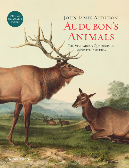 Audubon's Animals (The Viviparous Quadrupeds of North America) by John James Audubon, Kristofer M. Helgen, 9780847866724