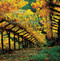Hidden Napa Valley, Revised and Expanded Edition by Wes Walker, Peter Beren, Linda Reiff, 9781599620800