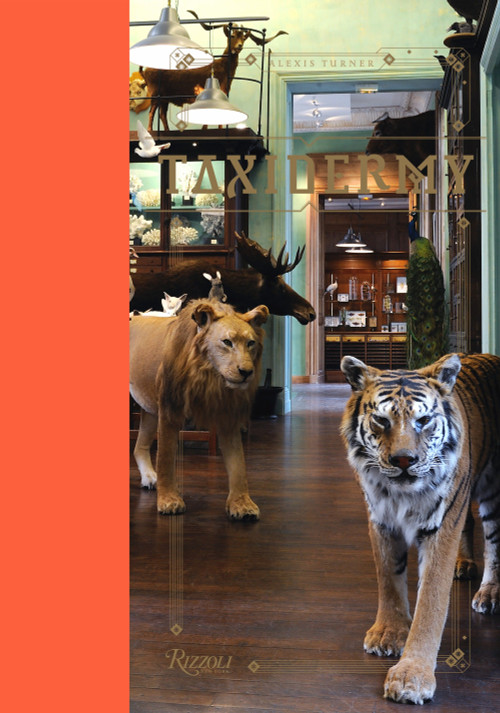 Taxidermy by Alexis Turner, 9780789327635