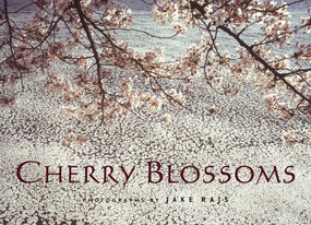 Cherry Blossoms by Jake Rajs, 9780847827947