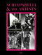 Schiaparelli and the Artists by André Leon Talley, Suzy Menkes, Christian Lacroix, 9780847860456