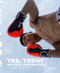 Li Yongzheng (Yes, today) by Li Yongzheng, Lü Peng, David Rosenberg, 9788891832238