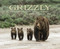 Grizzly (The Bears of Greater Yellowstone) by Thomas D. Mangelsen, Todd Wilkinson, Ted Turner, 9780789329493