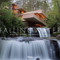 Fallingwater by Lynda Waggoner, Christopher Little, 9780847848478