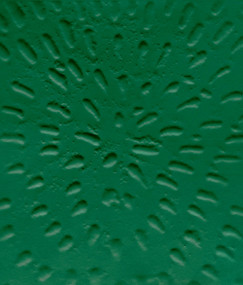 Jennifer Guidi (Heliocentric) by Stuart Krimko, 9780847867509