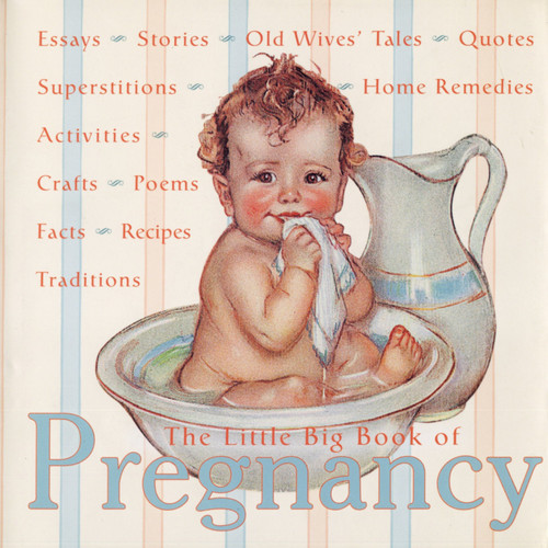 The Little Big Book of Pregnancy by Katrina Fried, Lena Tabori, 9780941807722