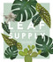 Leaf Supply (A Guide to Keeping Happy House Plants) by Lauren Camilleri, Sophia Kaplan, 9781925418637