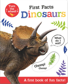 First Facts Dinosaurs by Bethany Carr, Georgie Taylor, 9781801050418