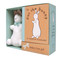 Pat the Bunny Book & Plush by Dorothy Kunhardt, 9780307163271