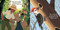 Good Night Forest by Adam Gamble, Mark Jasper, Zhen Liu, 9781602197800