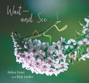 Wait and See by Helen Frost, Rick Lieder, 9781536216318