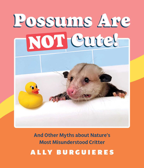 Possums Are Not Cute! (And Other Myths about Nature's Most Misunderstood Critter) by Ally Burguieres, 9781683692997
