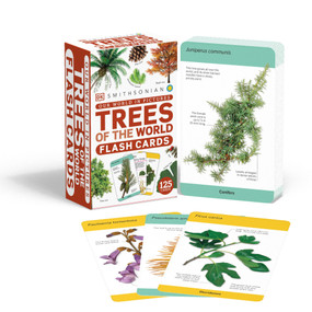 Our World in Pictures Trees of the World Flash Cards by DK, 9780744058307