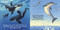 Good Night Dolphins by Adam Gamble, Mark Jasper, Ute Simon, 9781649070401