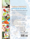 Half Yard™ Spring Collection (Debbies top 40 half yard projects for spring sewing) by Debbie Shore, 9781782219279