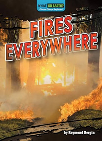 Fires Everywhere by Raymond Bergin, 9781636915562