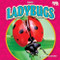 Ladybugs - 9781636913841 by Martha London, 9781636913841