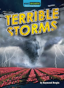 Terrible Storms - 9781636915593 by Raymond Bergin, 9781636915593