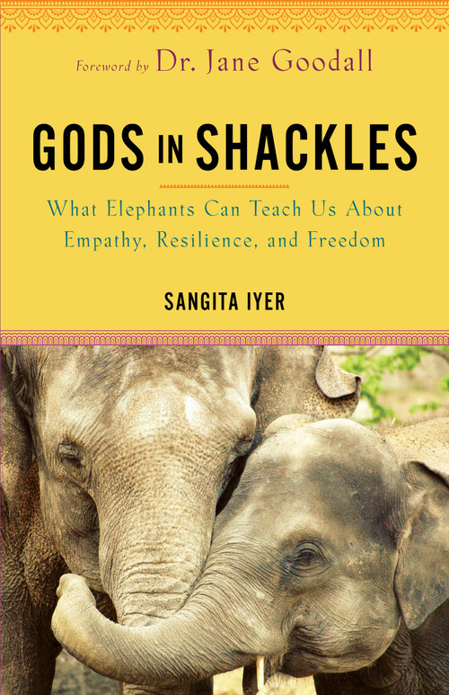 Gods in Shackles (What Elephants Can Teach Us About Empathy, Resilience, and Freedom) by Sangita Iyer, 9781401968847