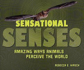 Sensational Senses (Amazing Ways Animals Perceive the World) by Rebecca E. Hirsch, 9781728419220