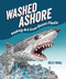 Washed Ashore (Making Art from Ocean Plastic) by Kelly Crull, Kelly Crull, 9781728430300