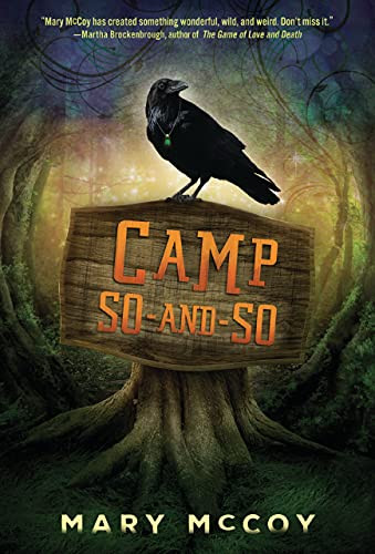 Camp So-and-So by Mary McCoy, 9781728445960