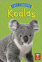 Koalas - 9780711271487 by Katie Woolley, 9780711271487