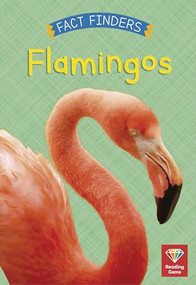 Flamingos - 9780711271524 by Katie Woolley, 9780711271524