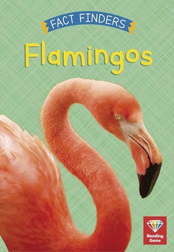 Flamingos - 9780711271524 by Katie Woolley, 9780711271524