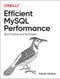 Efficient MySQL Performance (Best Practices and Techniques) by Daniel Nichter, 9781098105099