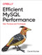 Efficient MySQL Performance (Best Practices and Techniques) by Daniel Nichter, 9781098105099