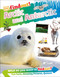 DKFindout! Arctic and Antarctic by DK, 9780744056525